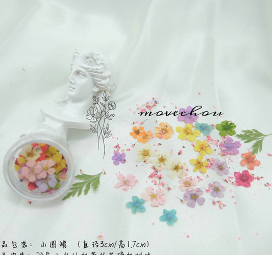 Cute Pastel Colored Dainty Dried Flowers for Nail Art, Crafting